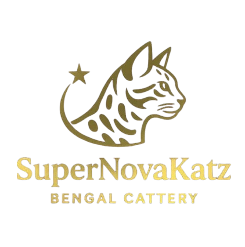 SuperNovaKatz