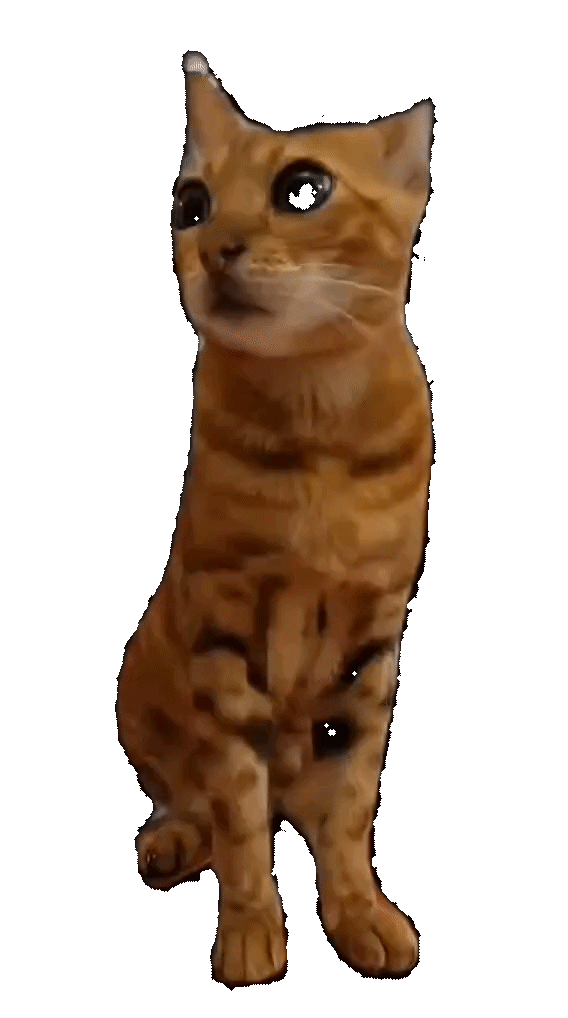 Kot Bengalski Tiga